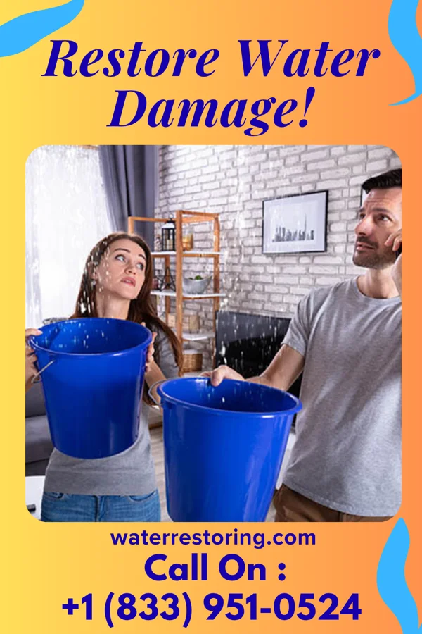 water restoration Ace Water Removal Partners Zena