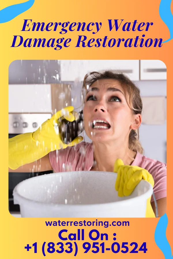 Emergency Water Damage Restoration in Zena, OK