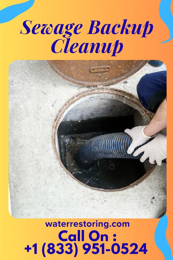 Sewage Backup Cleanup in Zena, OK